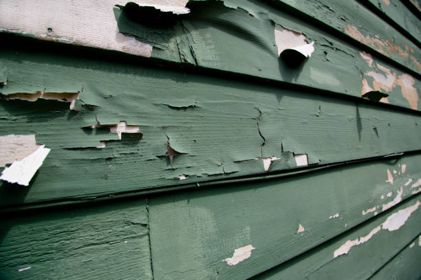  Owensboro, KY Junk Removal Pros