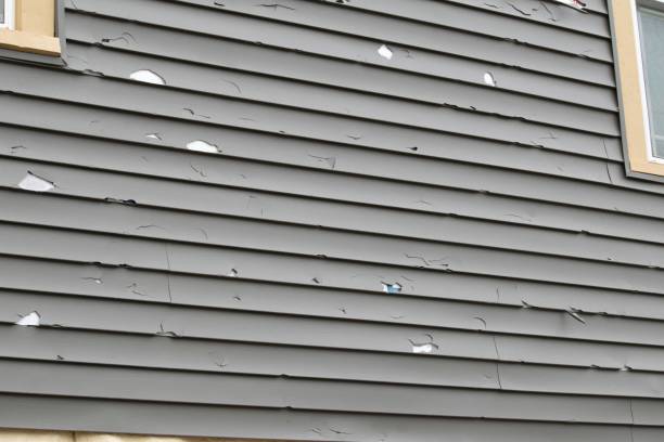 Best Garage Cleanout  in Owensboro, KY