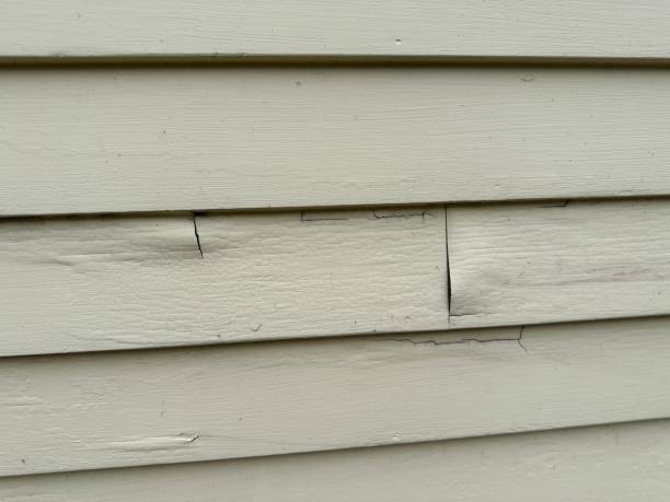 Best Property Management Cleanouts  in Owensboro, KY
